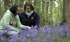 Two women kneel in the bluebells beneath a woodland canopy