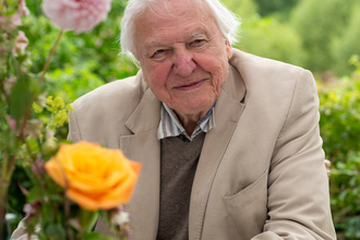 Sir David Attenborough sitting at a table outside with a vase of flowers in the foreground