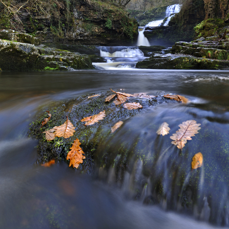 Waterfall and river with leaves floating