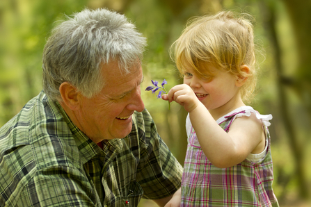 A smiling toddler holds up a flower to her grandfather