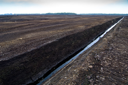 Peat extraction site, Lancashire (Matthew Roberts)