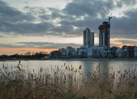 Woodberry Wetlands wildlife trust