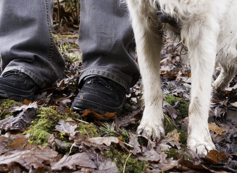 Boots sales flea treatment